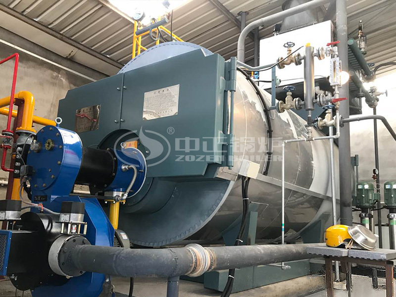 2噸WNS系列燃?xì)庹羝仩t項(xiàng)目