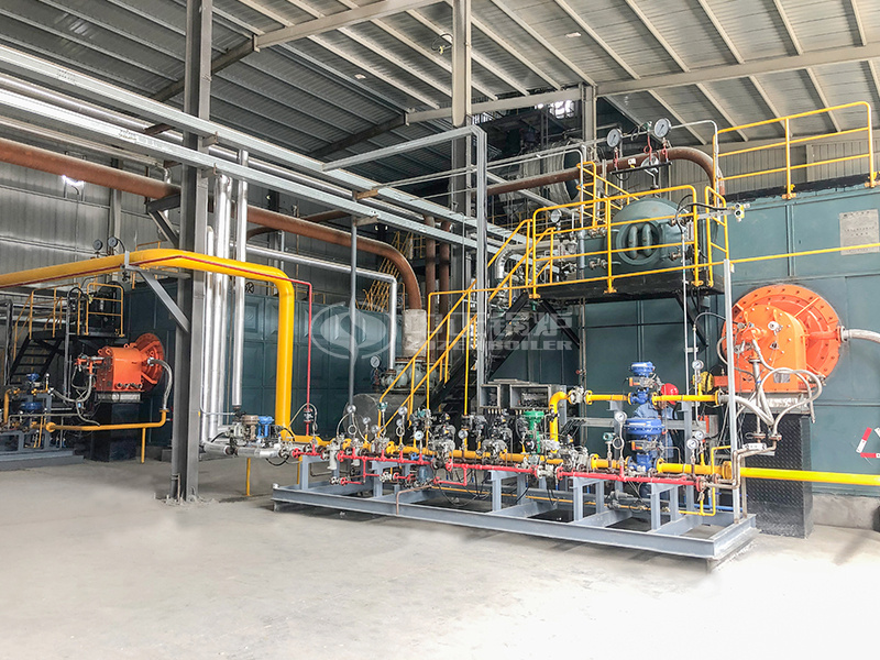 �¿ƊW�¿Ƽ�15��SZSϵ������ʽȼ������偠t�Ŀ����