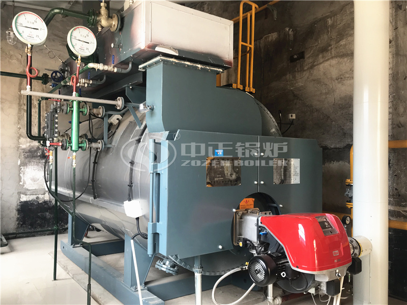 �ӱ��ƴT����2��WNSϵ�Эh����ȼ������偠t�Ŀ