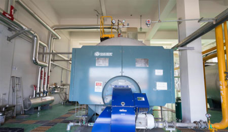 2噸燃氣鍋爐圖片